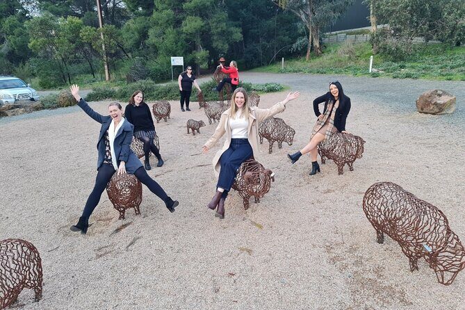 Clare Valley Wine Tour. Local Guide, Clare Valley pickup, & lunch - Practical Details & What to Expect