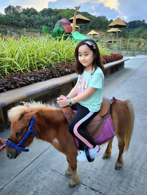Clark Safari and Adventure Park Ticket - Food, facilities, and family comfort