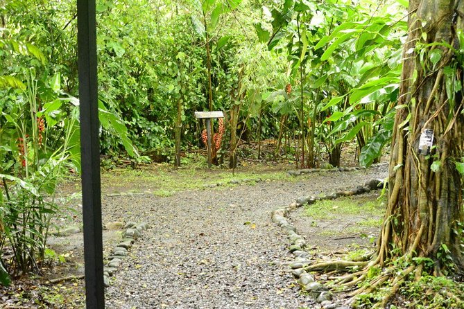 Class II-III Rafting and Chocolate Tour From La Fortuna - Tour Details