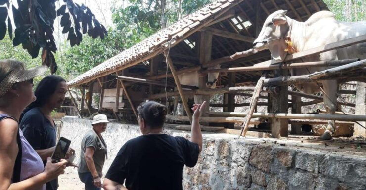 Classes & Workshops In Yogyakarta Tour 5d4n - Tour Overview