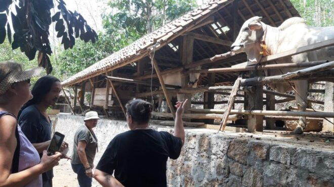 Classes & Workshops In Yogyakarta Tour 5d4n - Tour Itinerary