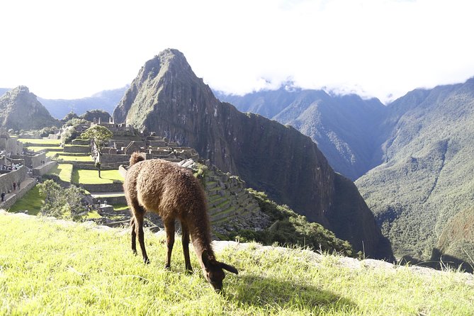 Classic 2 Days Inca Trail to Machu Picchu - Questions and Support