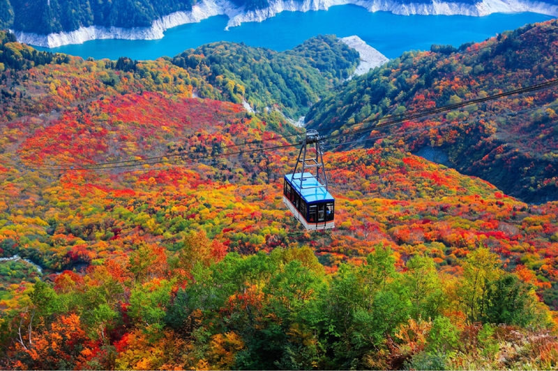 Classic 3-Day Tateyama Kurobe Tour: Tateyama Kurobe & Kamikochi & Shirakawa-go Gassho-zukuri Village & Magome-juku and Tsumago-juku & Daio Wasabi Farm (Departure from Nagoya, Includes Admission Tickets & Accommodation & Tour Leader) - Three days from Nagoya, with the Alps at the center