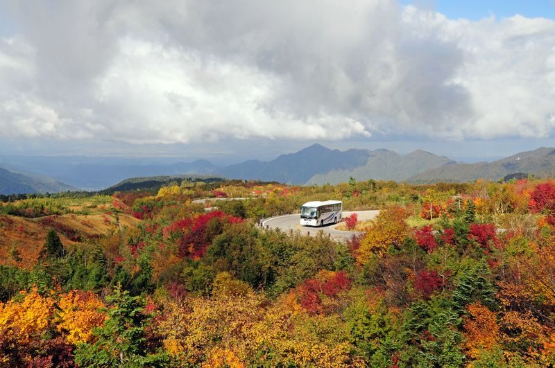 Classic 3-Day Tateyama Kurobe Tour: Tateyama Kurobe & Kamikochi & Shirakawa-go Gassho-zukuri Village & Magome-juku and Tsumago-juku & Daio Wasabi Farm (Departure from Nagoya, Includes Admission Tickets & Accommodation & Tour Leader) - Day three: Kamikochi, or a change of plan