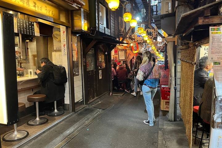 Classic 6 Days Japan Family Tour with 4-star Hotels by Agate Travel - Guides, hotels and the service question