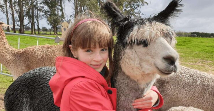 Classic Alpaca Tour in New Zealand - Booking Details and Policies