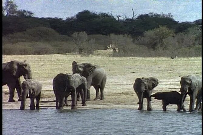 Classic Best of Kenya - Relaxation and Leisure Activities