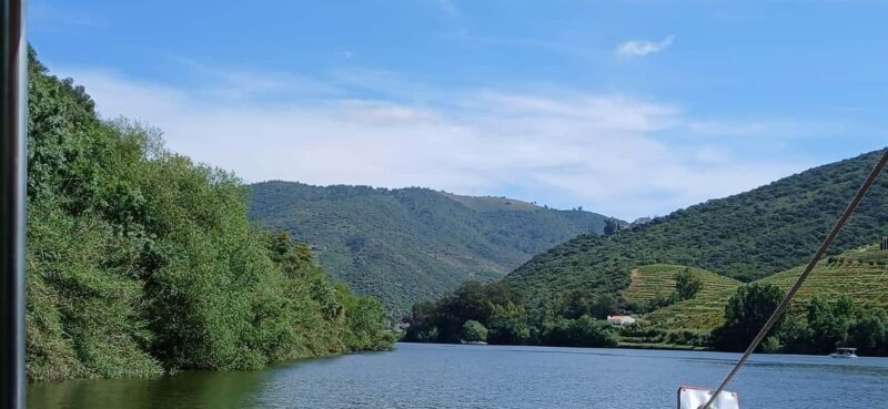 Classic Douro Tour: River, Train, Wine & Private Guide - Who Will Love This Tour?