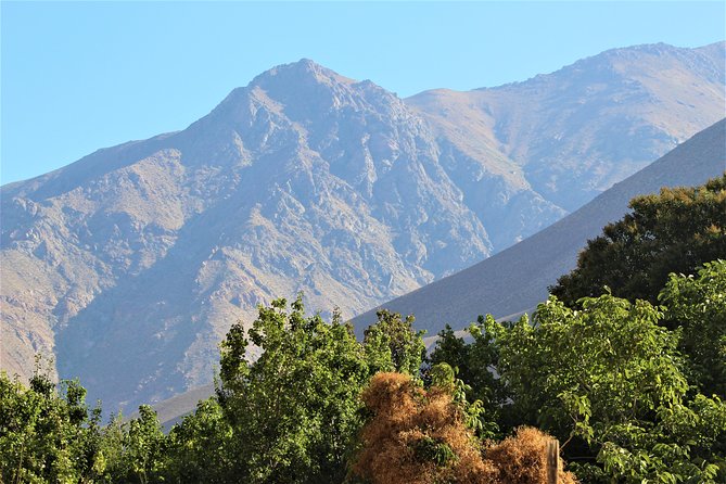 Classic Elqui Valley (Between Vineyards and Fruit Trees) - Tour Inclusions