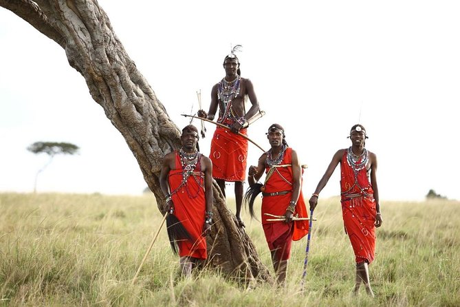 Classic Flying & Open 4X4 Masai Mara Luxury Safari - Pricing and Customer Reviews