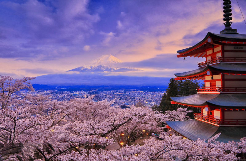 Classic Fuji Flower Viewing Route | Tenjosan Park & Arakurayama Sengen Park & Nichikawa Clock Shop & Lawson Convenience Store & Oishi Park (including cable car ticket) - A guide, a bus and a tightly timed day