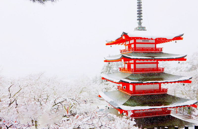 Classic Fuji Flower Viewing Route | Tenjosan Park & Arakurayama Sengen Park & Nichikawa Clock Shop & Lawson Convenience Store & Oishi Park (including cable car ticket) - What the price covers, and where value comes from