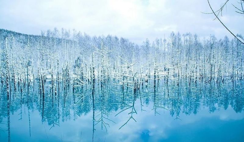 Classic Hokkaido Asahikawa & Biei Photo Spot Day Tour: Asahiyama Zoo & Shirahige Waterfall & Shirogane Blue Pond & Biei - Shirogane Blue Pond: one place, several seasonal moods