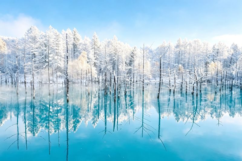 Classic Hokkaido One-Day Tour: Asahiyama Zoo & Ken & Mary Tree & Shirahige Waterfall & Biei Shirogane Blue Pond & Ningle Terrace - Shirahige Falls: a short walk on winter footing