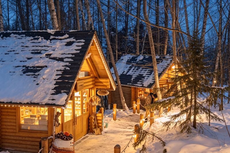 Classic Hokkaido One-Day Tour: Asahiyama Zoo & Ken & Mary Tree & Shirahige Waterfall & Biei Shirogane Blue Pond & Ningle Terrace - Blue Pond: a famous sight in a compact visit