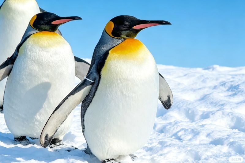 Classic Hokkaido One-Day Tour: Asahiyama Zoo & Ken & Mary Tree & Shirahige Waterfall & Biei Shirogane Blue Pond & Ningle Terrace - Ningle Terrace: cabins, forest paths and limited browsing time