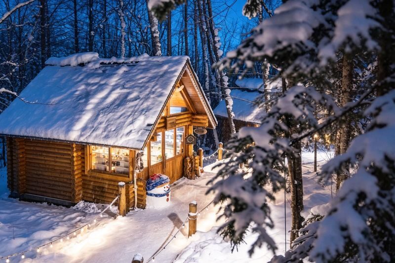 Classic Hokkaido One-Day Tour: Asahiyama Zoo & Ken & Mary Tree & Shirahige Waterfall & Biei Shirogane Blue Pond & Ningle Terrace - What the price buys, and what it does not