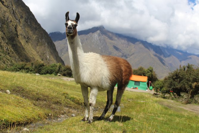 Classic Inca Trail to Machu Picchu (4D/3N) - Cancellation and Weather Policies