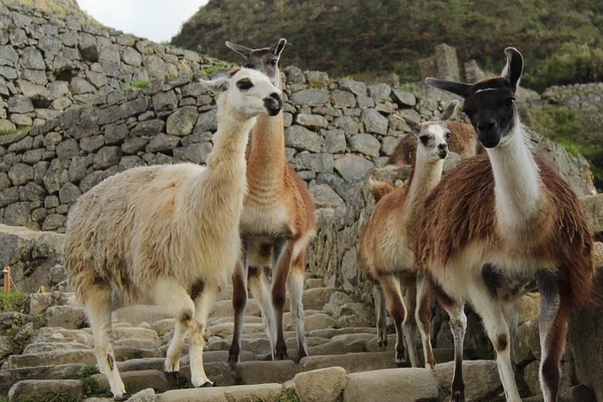 Classic Inca Trail to Machu Picchu (4D/3N) - Directions