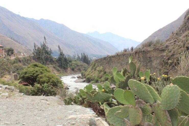 Classic Inca Trail Trek - Live Tour Guide and Language Options