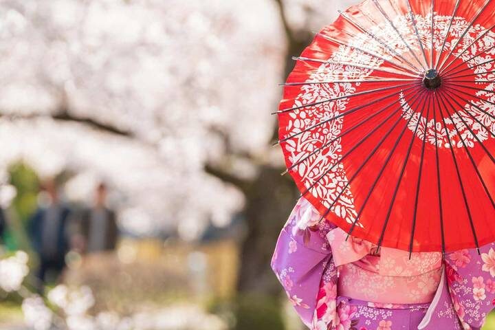 Classic Japan 11-Day Tour by Trafalgar - The trip at a glance