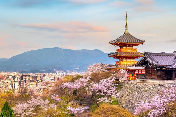 Classic Japan 11-Day Tour by Trafalgar - A pottery workshop and lunch with a farmer