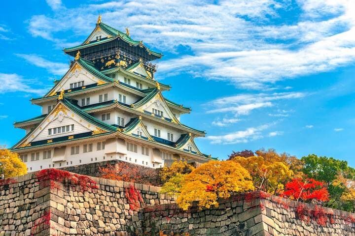 Classic Japan 11-Day Tour by Trafalgar - Hotels, meals and what the price covers