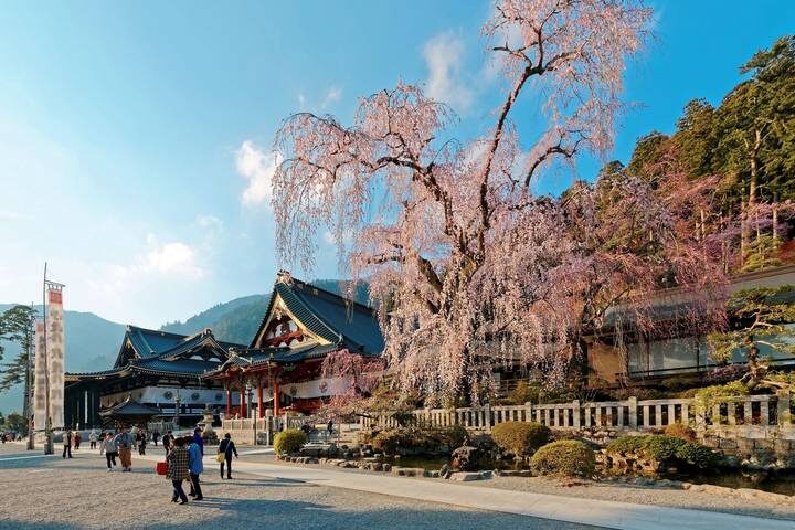 Classic Japan (from Tokyo to Osaka) 11-Day Tour by Intrepid Travel - The pace, the luggage and who will enjoy it