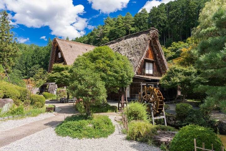 Classic Japan (from Tokyo to Osaka) 11-Day Tour by Intrepid Travel - Should you book this Japan tour?