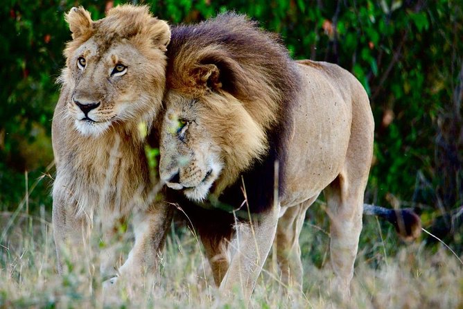 Classic Kenya Blissful Adventour - Inclusions and Exclusions