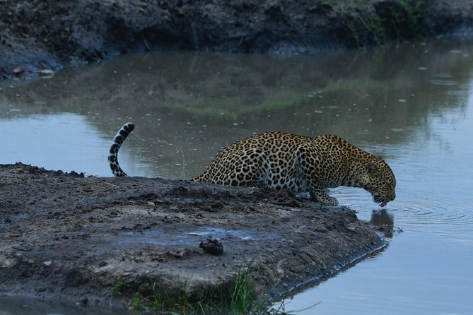 Classic Kenya Blissful Adventour - Additional Information Provided