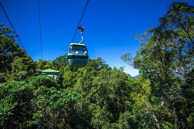 Classic Kuranda by Skyrail and Scenic Railway, Rainforestation & lunch. CKB - Who Should Book This Tour?  