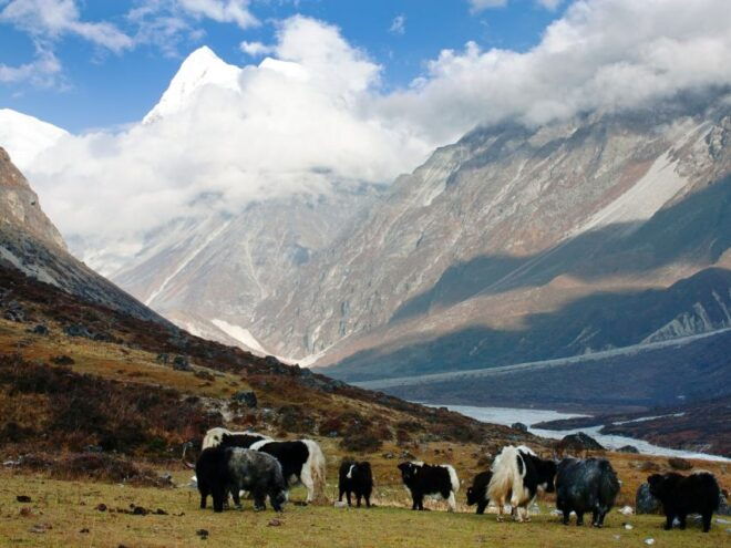 Classic Langtang Valley 6 Days Guided Trek From Kathmandu - Day 3: Trek to Langtang Village