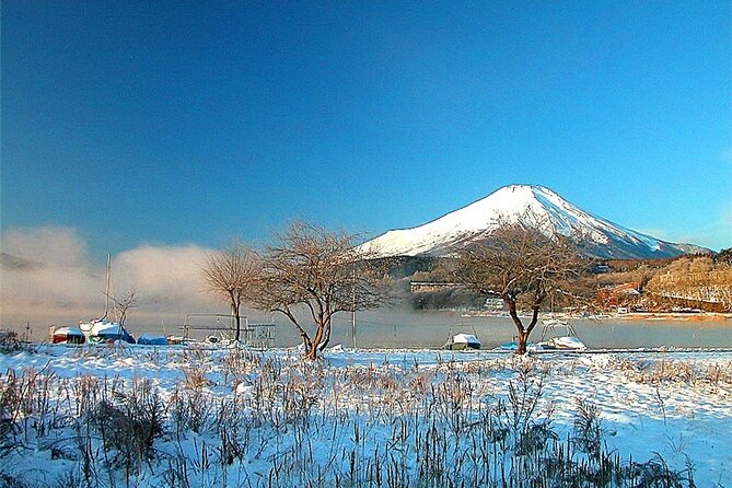 Classic Mount Fuji One-Day Tour With Daily Chauffeur - Questions and Terms