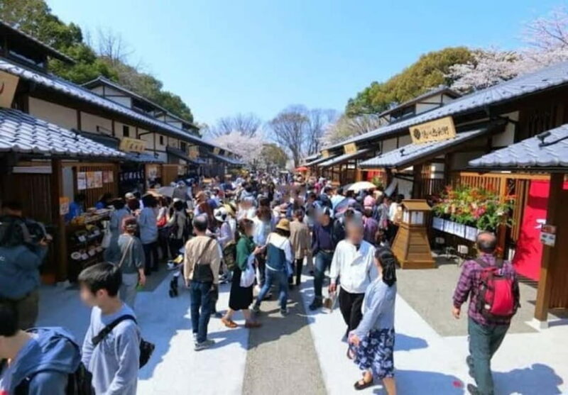 Classic Nagoya tour with private van - The Sum Up