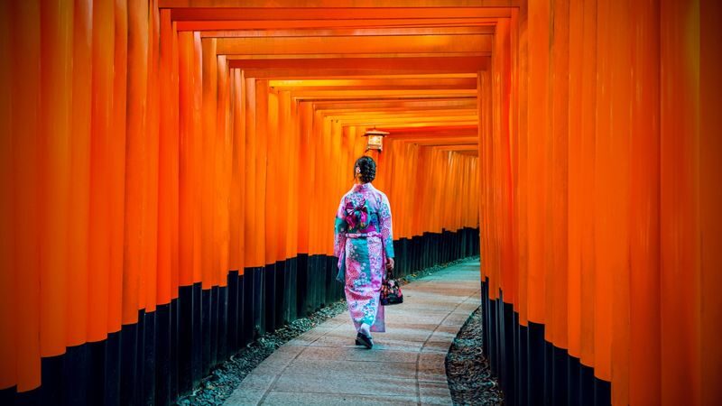 Classic Panoramic Tour: A Day Trip to Kyoto and Nara to Encounter Adorable Deer - The short version: three famous stops, one busy day