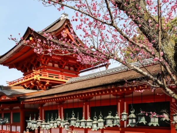 Classic Panoramic Tour: A Day Trip to Kyoto and Nara to Encounter Adorable Deer - Should you book it?