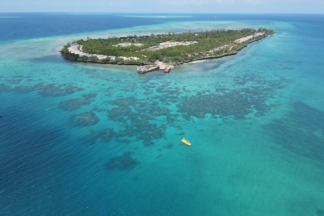 Classic Reef Experience in Zanzibar - Reviews Overview