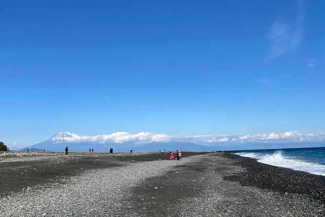 Classic Shizuoka With Mt.Fuji Viewing 1 Day Private Tour - Cancellation Policy