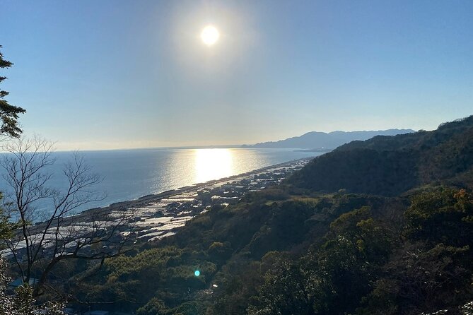 Classic Shizuoka With Mt.Fuji Viewing 1 Day Private Tour - Common Questions