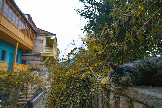 Classic Tbilisi Walking Tour - Tour Details