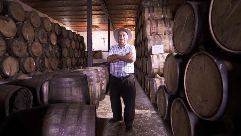 Classic Tequila Route Tour from Guadalajara and cantaritos el GÜERO!!! - A Detailed Look at the Tequila Route from Guadalajara