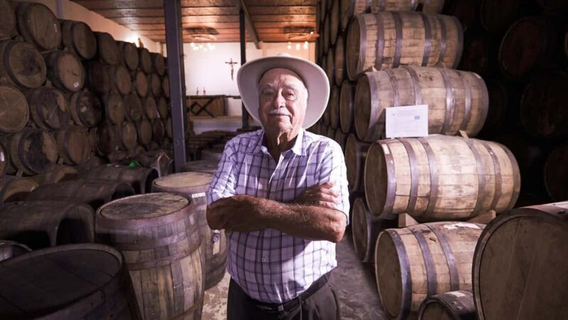 Classic Tequila Route Tour from Guadalajara and cantaritos el GÜERO!!! - FAQ