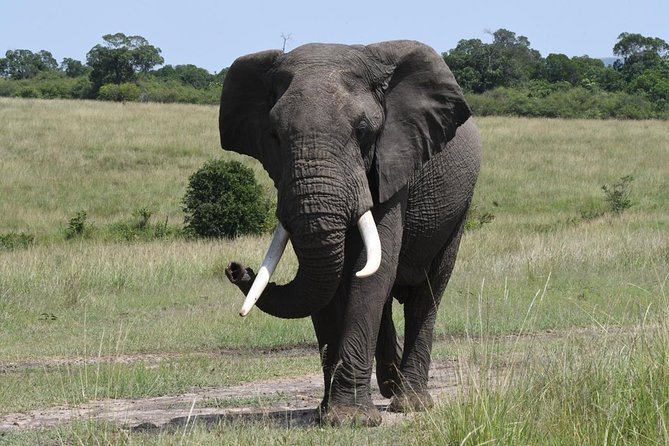 Classic Thrilling Kenya, Tanzania and Zanzibar 2024 - Transportation Details