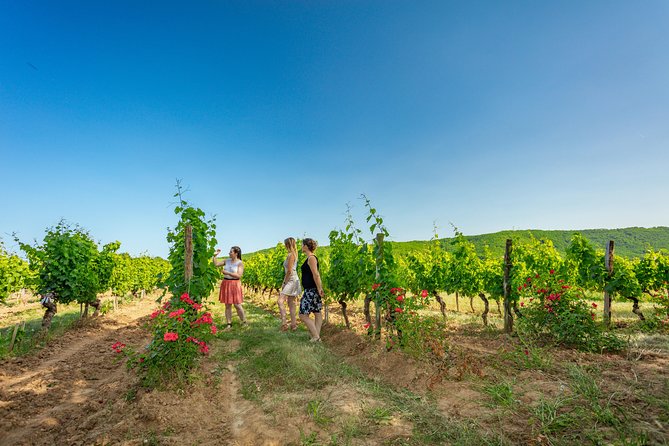 Classic Visit and Tasting of 3 Wines - Classic Wine Selection