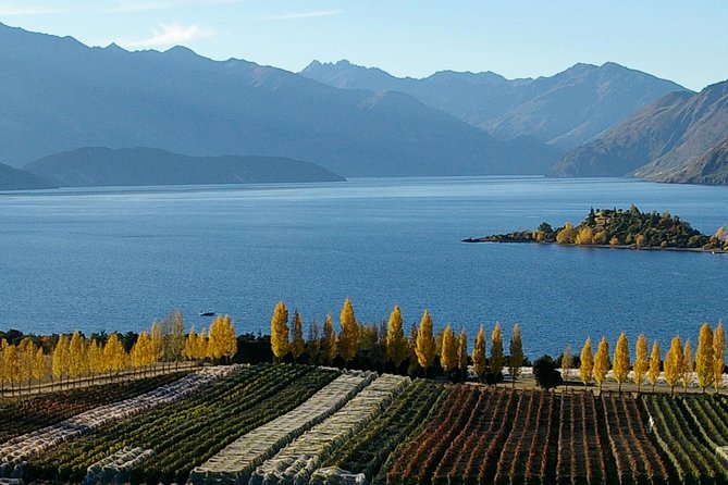 Classic Wanaka Wine Tour - Overview of Central Otago Wine Region