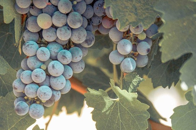 Classic Wine Adventure of Temecula Valley Afternoon Tour - Directions