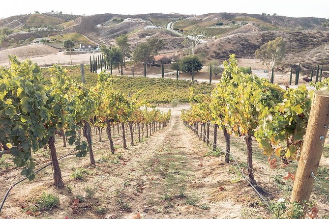 Classic Wine Adventure of Temecula Valley Afternoon Tour - Common Questions