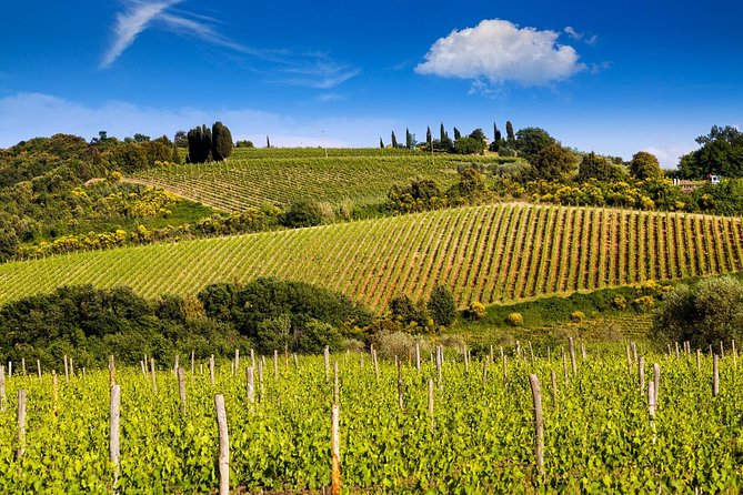 Classic Wine Tour in Chianti From Florence - Tour Details