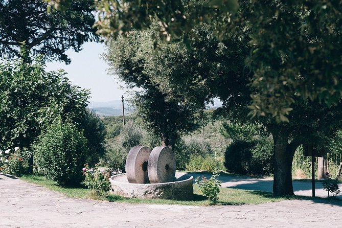 Classic Wine Tour in Chianti From Florence - Expert Guides